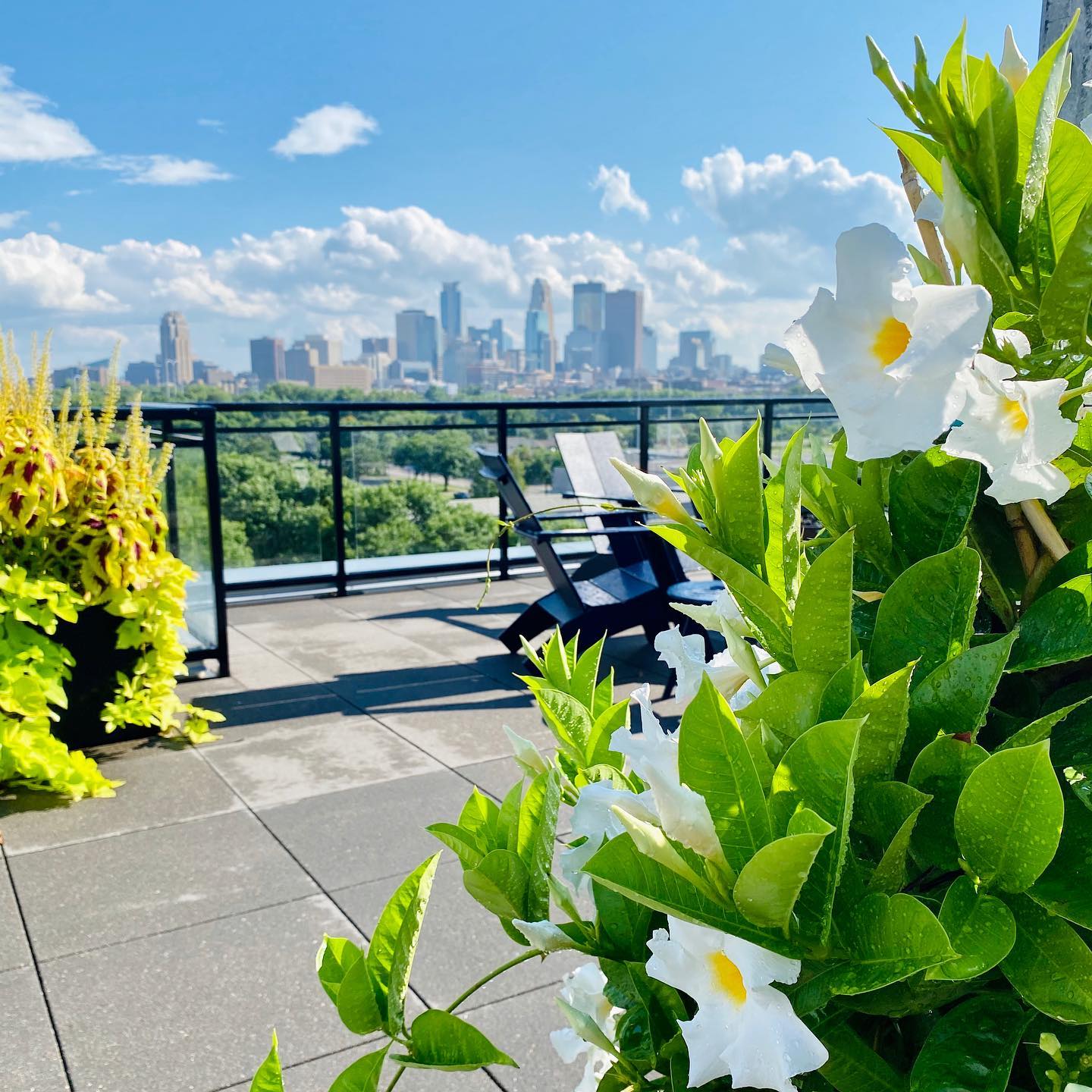 Lucille Apartments Northeast Apartments in Minneapolis